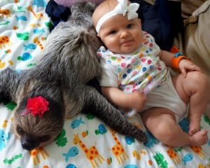 Just for fun: this baby has the most fascinating friends!